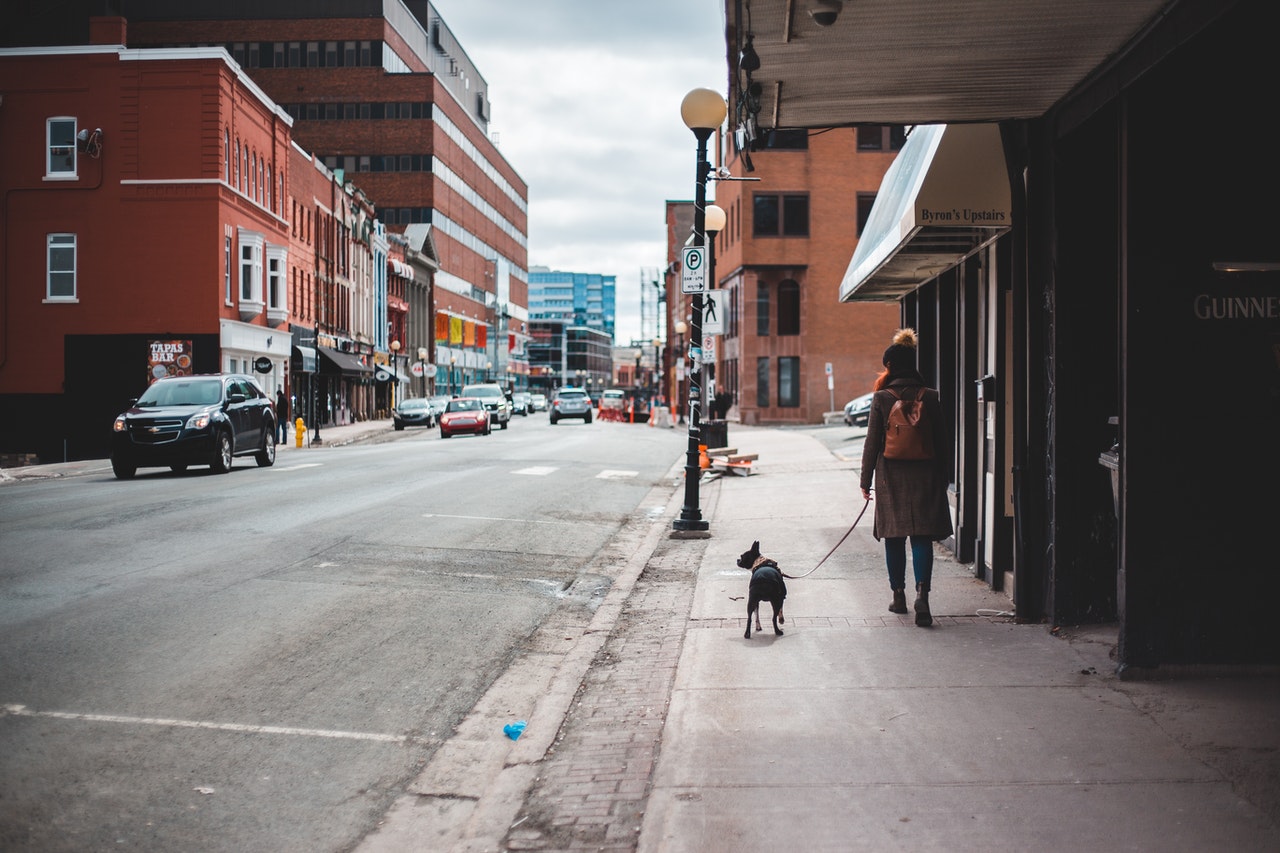 Wie bringt man einem Welpen Sauberkeit bei?