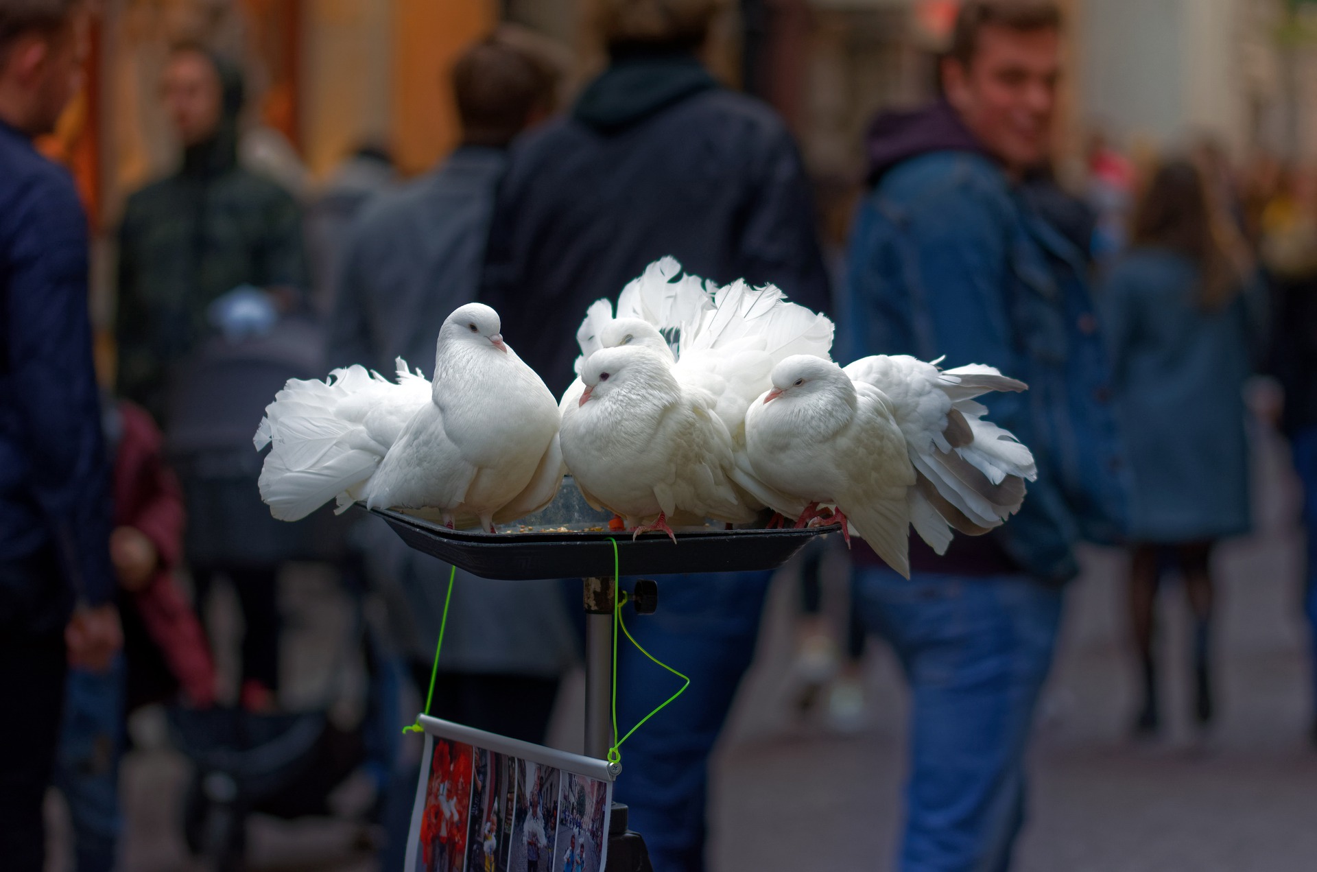 Womit soll man die Kleinen und womit die Großen füttern?
