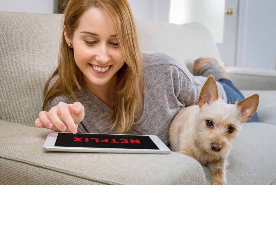 Luister naar het verhaal van 3. beroemde honden en hun rassen.