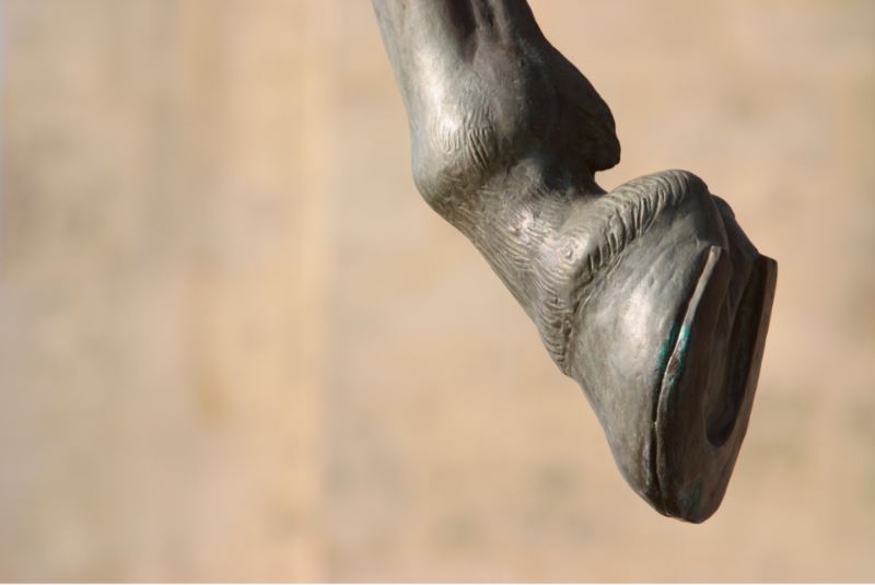 De ziekte ontwikkelt zich erg snel, het is erg belangrijk om de symptomen snel te herkennen en een behandeling toe te passen om het te laten werken.