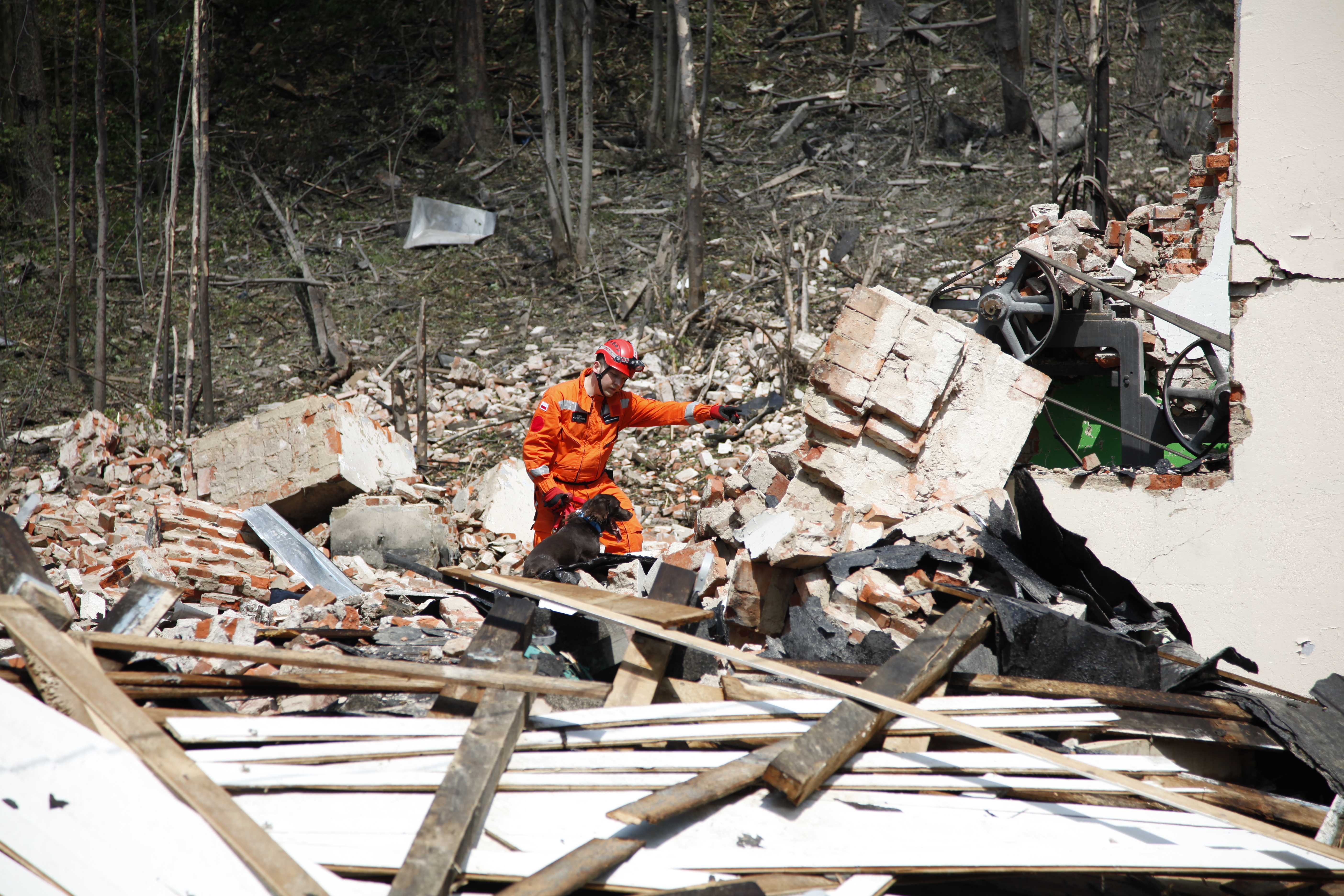 Der Hund schaut Menschen in Trümmern an.
