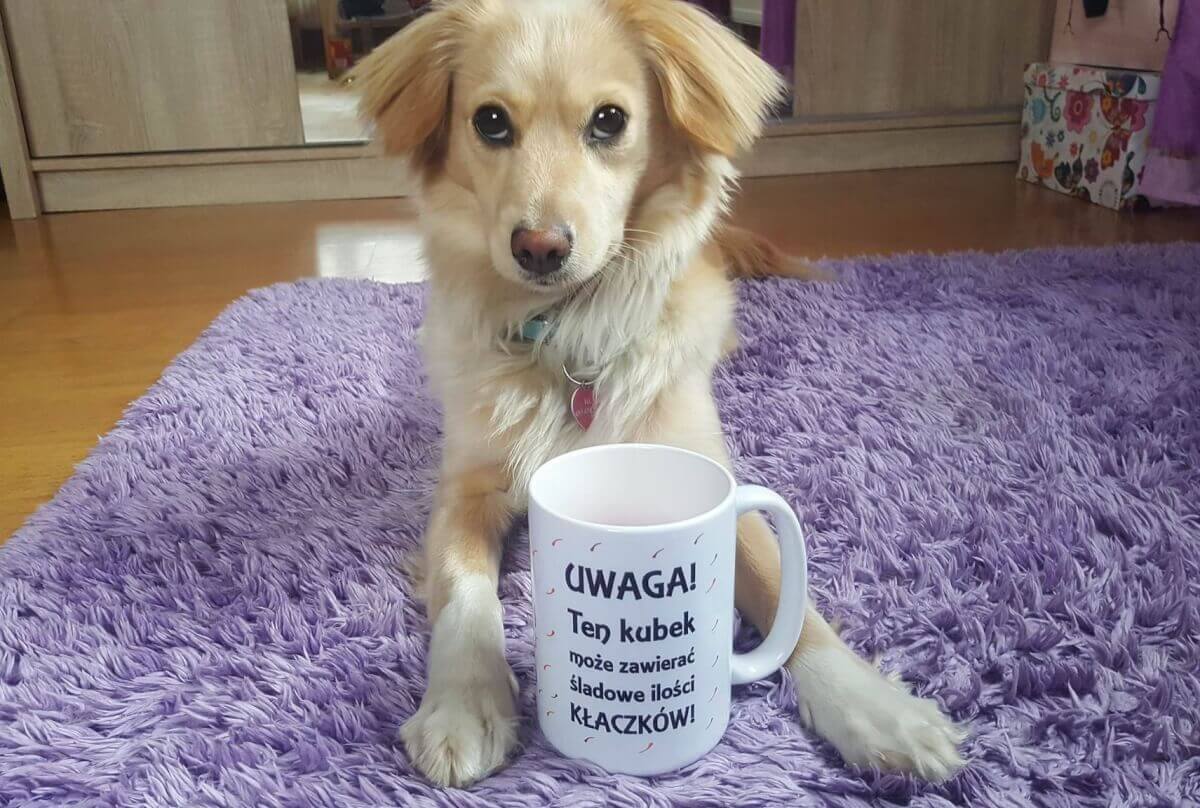 Meine Adoptionsgeschichte - Teil. 1 Zuzia