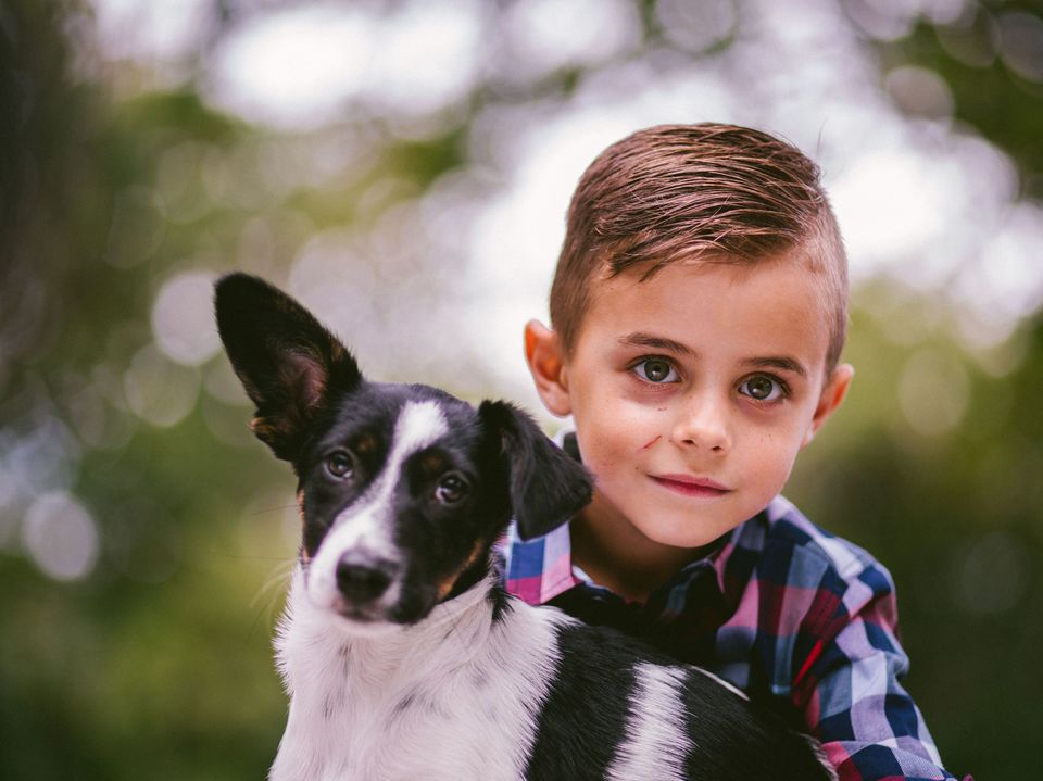 Hoe bereidt u zich voor op de komst van uw puppy thuis?