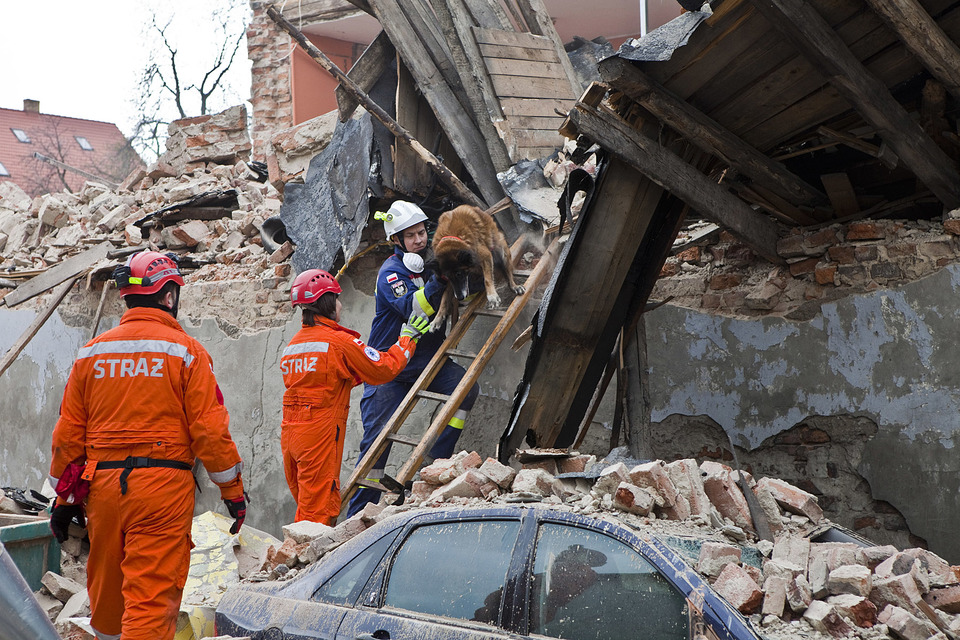 Een hond in de ruïnes van het huis gevonden.
