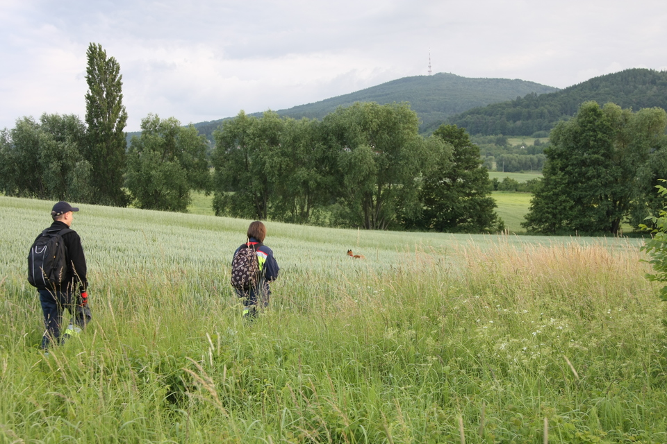 Honden zijn zonder twijfel de beste vrienden van de mens.