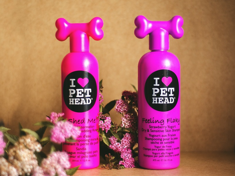 Twee shampoos om de hond te wassen.