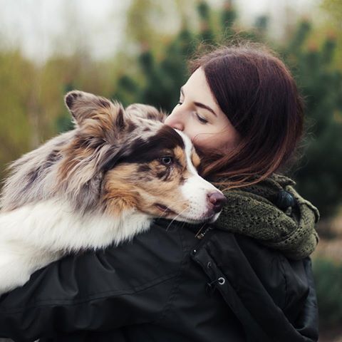 Gebaad en gekamd, knuffelt de Border Collie tegen je aan.
