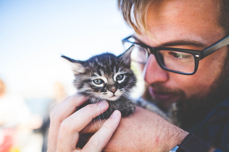 Kittens kunnen afhankelijk van hun toestand al op 4 weken leeftijd worden ontwormd. Neem echter altijd contact op met uw dierenarts.