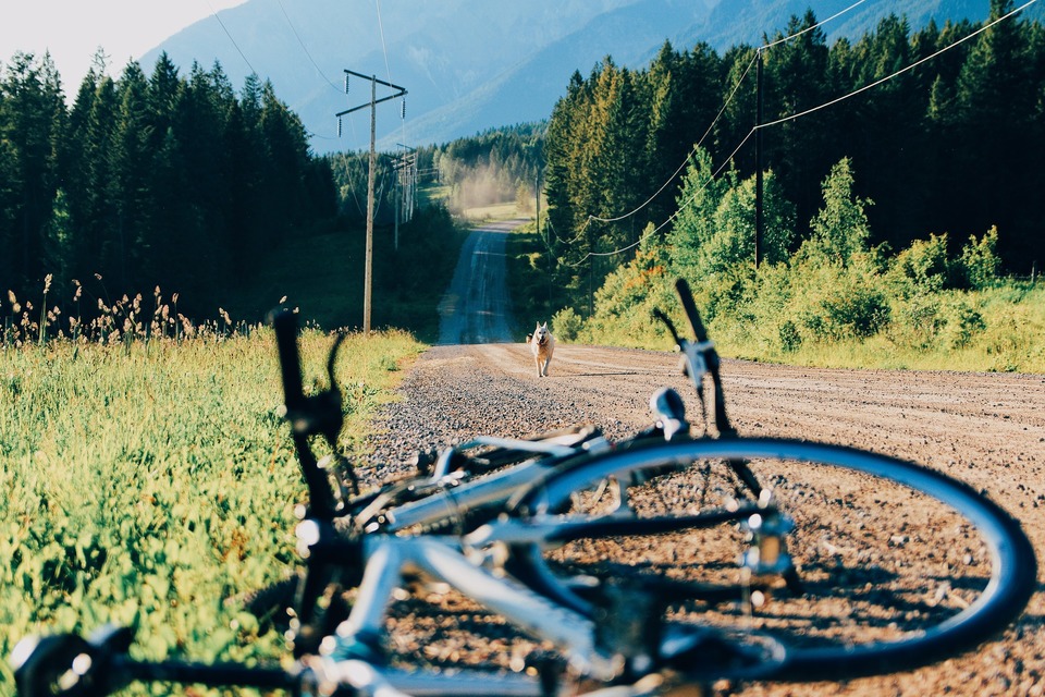 Op het veldpad tussen de heuvels rent een hond naar de fiets toe.