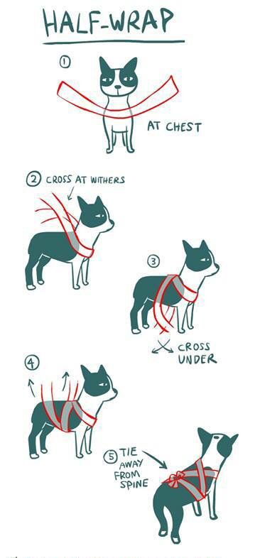 Het inwikkelen van de hond met een bandage heeft een kalmerend effect door druk uit te oefenen op de relevante zenuwen. U moet dit echter bewust doen en weten, want een slechte verpakking kan meer kwaad dan goed doen.