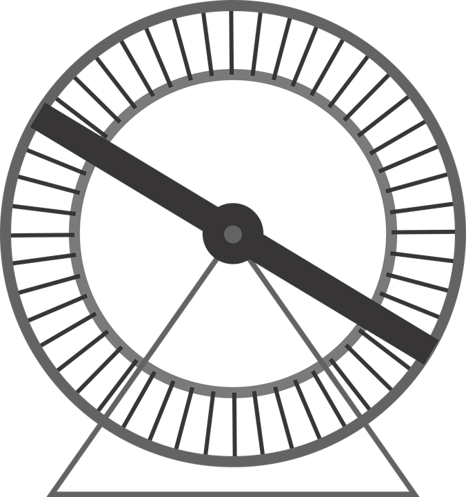 Een gevaarlijke hamsterrol.