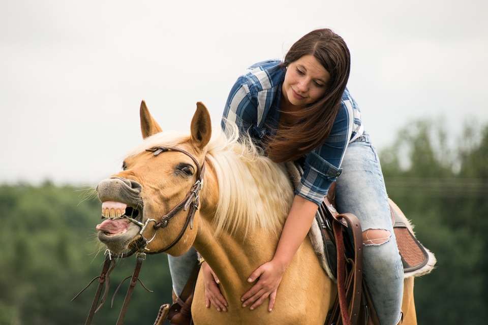 De ruiter moet de waarschuwingssignalen van paarden kennen en veranderingen in hun gedrag opmerken. Dit is de basis voor een goede samenwerking.