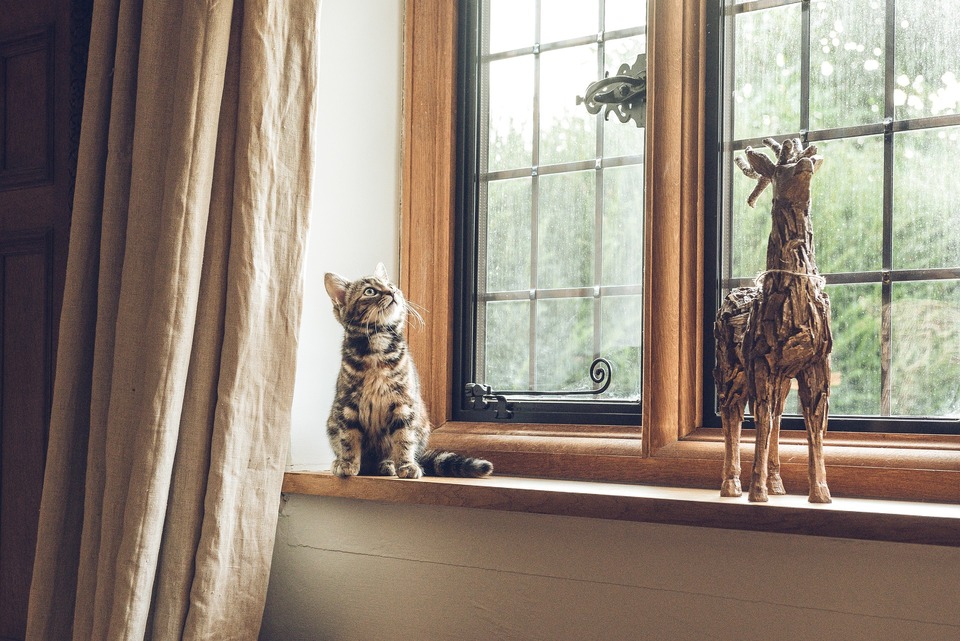 Als je niet wilt dat je kat op bepaalde oppervlakken klimt, bied je kat een andere goede optie aan. Dit is vooral belangrijk voor kittens die veel energie hebben en verschillende plaatsen moeten benutten.