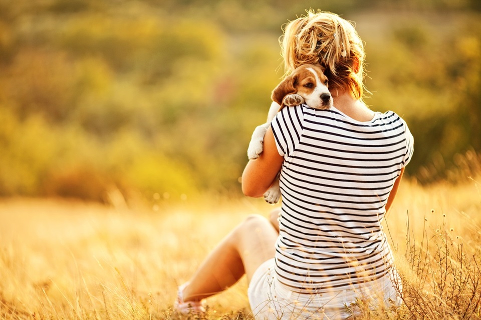 De puppy knuffelt met de dame op de open plek. Een gezonde puppy is een gelukkige puppy.