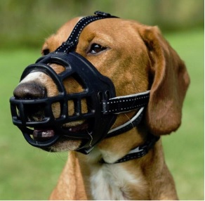 Een fysiologische muilkorf. Het beste voor een hond. Het staat hem toe om vrij te ademen, naar lucht te happen en water te drinken