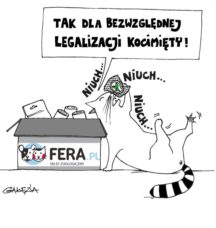 De kat die aan kattenkruid ruikt roept 'Ja voor de absolute legalisering van kattenkruid'