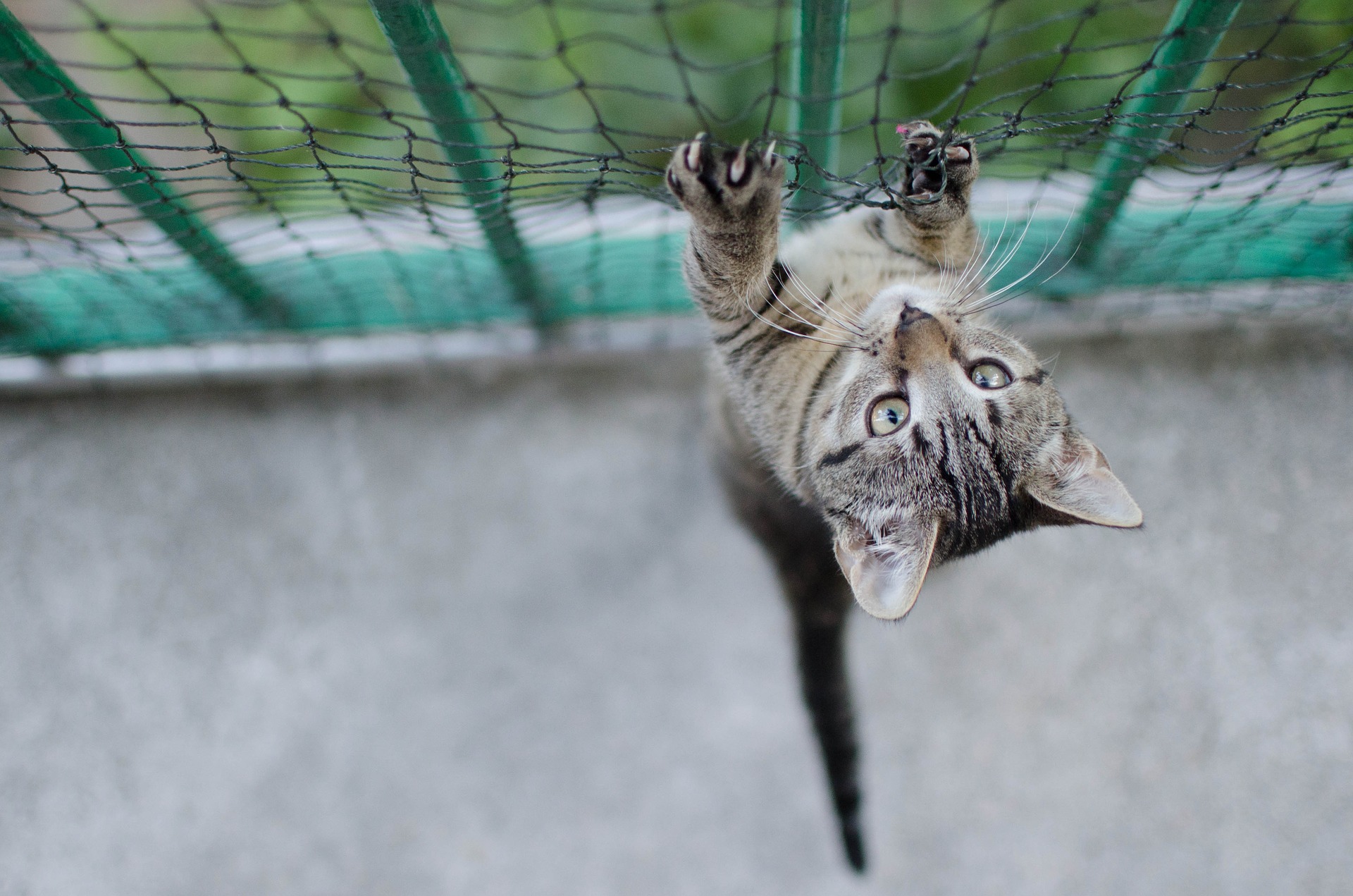 Het net voor het balkon moet duurzaam en stevig zijn. De staat moet van tijd tot tijd worden gecontroleerd.