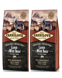 CARNILOVE Lamm & Wildschwein Adult 24 kg (2 x 12 kg)