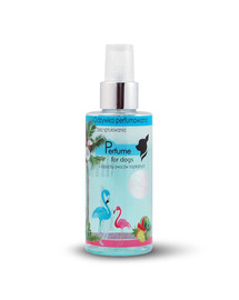 FREXIN Parfümierte Spülung mit tropischen Früchten 140 g