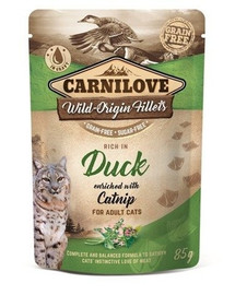 CARNILOVE Rich in Duck with Catnip 24 x 85 g