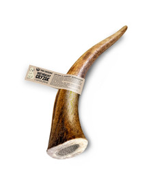 PAKA ZWIERZAKA Hirschgeweih für Hund kauen Hard XL 18 cm