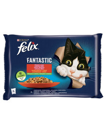 FELIX Fantastic So gut wie es ausssieht mit Rind & Karotten und Huhn & Tomate 4x85g