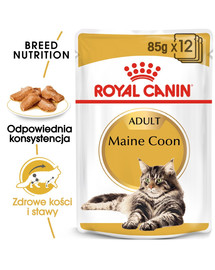 ROYAL CANIN Mainecoon 24x85 g