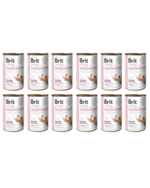 BRIT Veterinary Diet Hypoallergenic Salmon&Pea Allergikerfutter für Hunde 12x400g