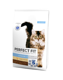 PERFECT FIT Junior <1 Trockenvollnahrung mit Huhn für Kätzchen 7 kg