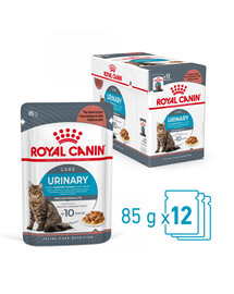 ROYAL CANIN Urinary Care Katzenfutter nass für gesunde Harnwege 12x85g