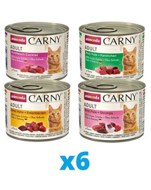ANIMONDA Carny Adult Mixpaket 24 x 200 g