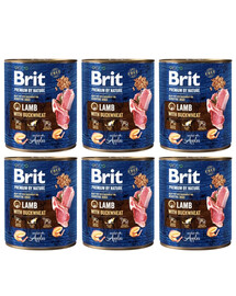 BRIT Premium by Nature 6x800 g Lamm und Buchweizen natürliches Hundefutter