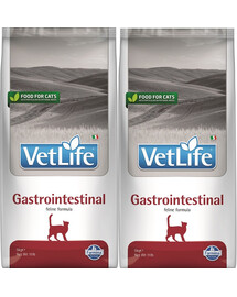 FARMINA Vet Life Gastrointestinal Katze 2x5 kg