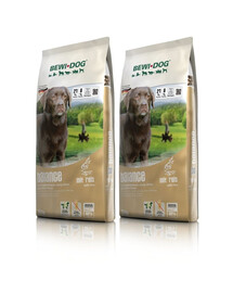 BEWI DOG Balance 2 x 12,5 kg