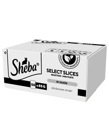 SHEBA Selection Select Slices Geflügelgeschmacksbeutel 120x85 g in Saucenstücken mit: Ente, Huhn, Geflügel, Ente und Pute für ausgewachsene Katzen