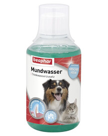 BEAPHAR Mundwasser Hund & Katze Mund- & Zahnpflege Flüssig 250 ml