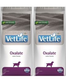 FARMINA Vet Life Oxalate (Urinary) Hund 12 kg x 2
