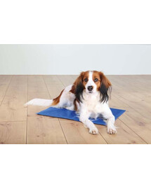 TRIXIE Kühlmatte Für Hunde Kühldecke 100x60cm blau