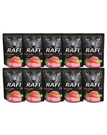 DOLINA NOTECI Rafi Cat Katzennassfutter mit Lachs 10x300 g