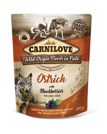 CARNILOVE Dog Paté Ostrich with Blackberries 300g