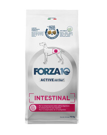 FORZA 10 Intestinal Active Trockenfutter für Hunden mit Magenschleimhautentzündung 10 kg