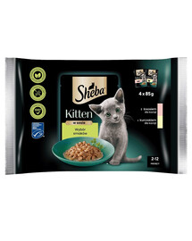 SHEBA Kitten 4x85g Nassfutter mit Lachs und Huhn für Kätzchen