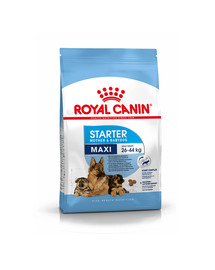 ROYAL CANIN Maxi starter mother & babydog 4 kg