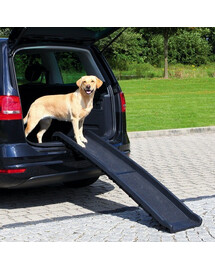 TRIXIE Klapp-Rampe, Kunststoff/Sandpapier