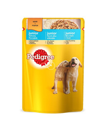 PEDIGREE Junior Huhn mit Reis in Gelee 100g