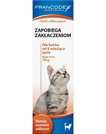 FRANCODEX Abschwellende Paste 70 g