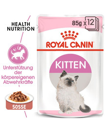 ROYAL CANIN KITTEN Nassfutter in Soße für Kätzchen 12x85g