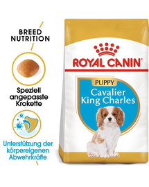 ROYAL CANIN Cavalier King Charles Puppy Welpenfutter trocken 1,5 kg