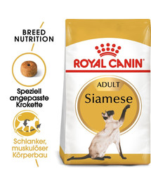 ROYAL CANIN Siamese Adult Katzenfutter trocken 2 kg