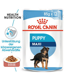 ROYAL CANIN MAXI PUPPY Welpenfutter nass für große Hunde 10 x 140 g